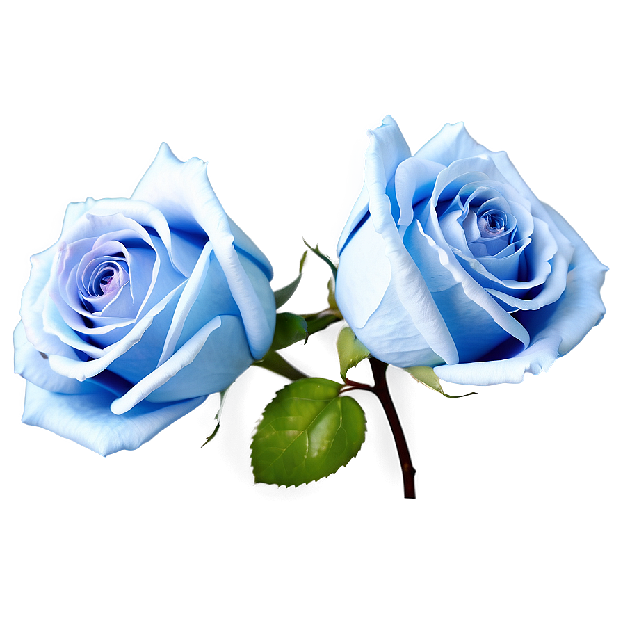 Soft Blue Rose Png Rmm