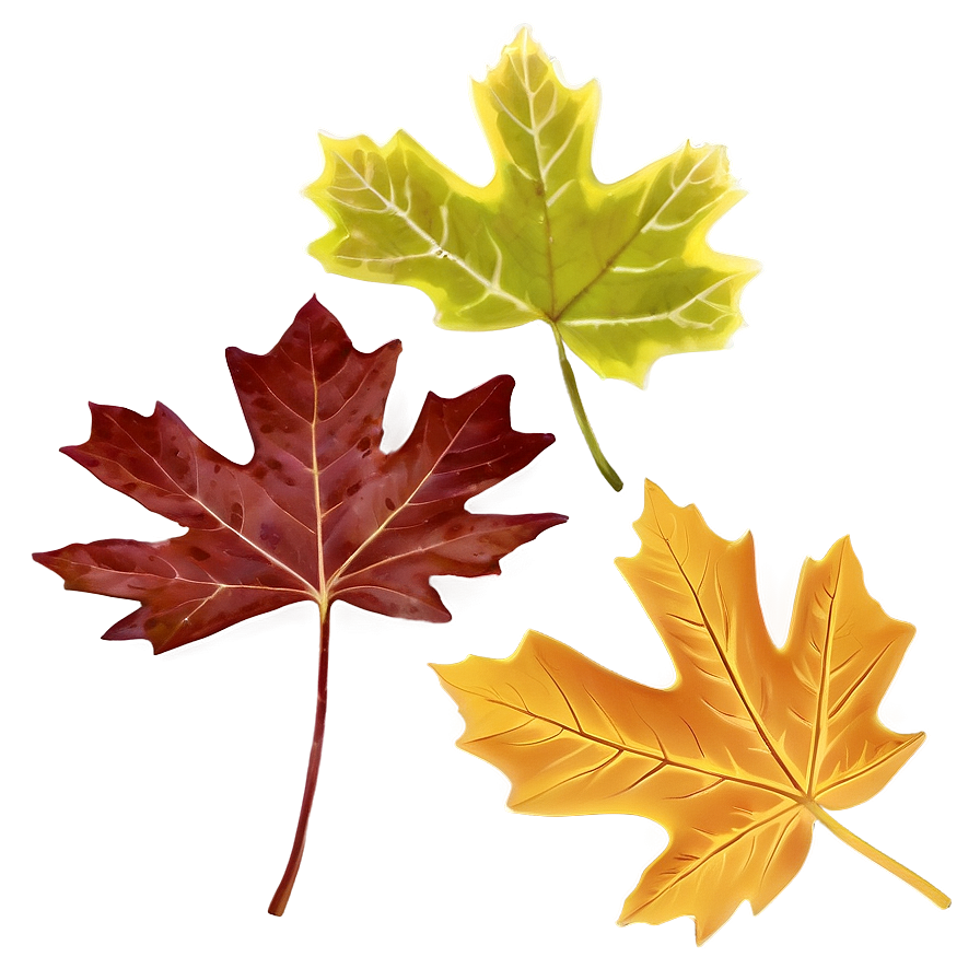 Soft Edge Fall Leaf Png Wpu