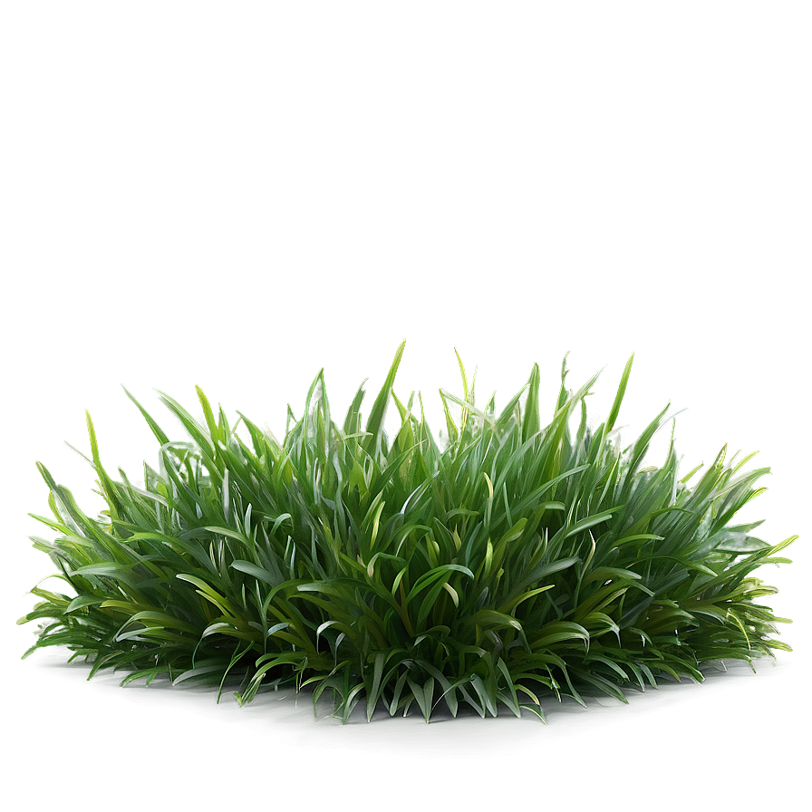 Soft Grass Carpet Png 04292024