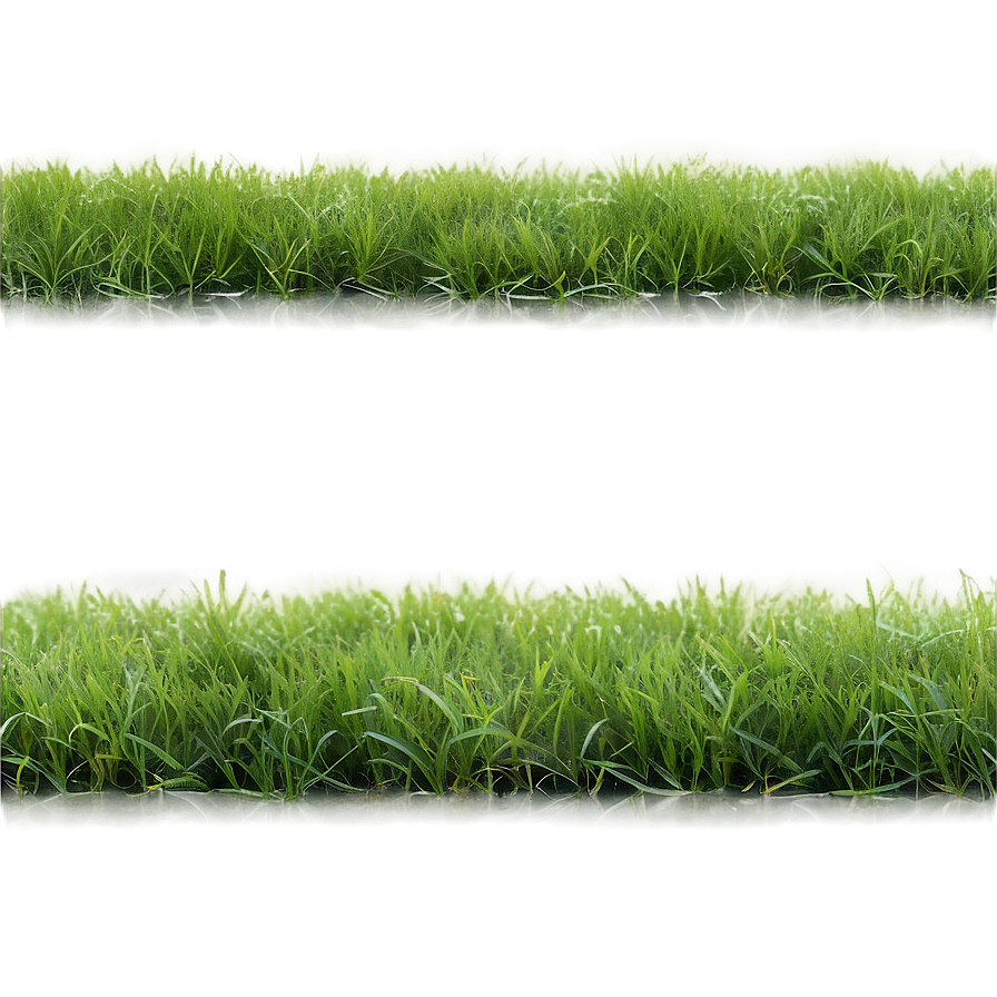 Soft Grass Carpet Png Lrx