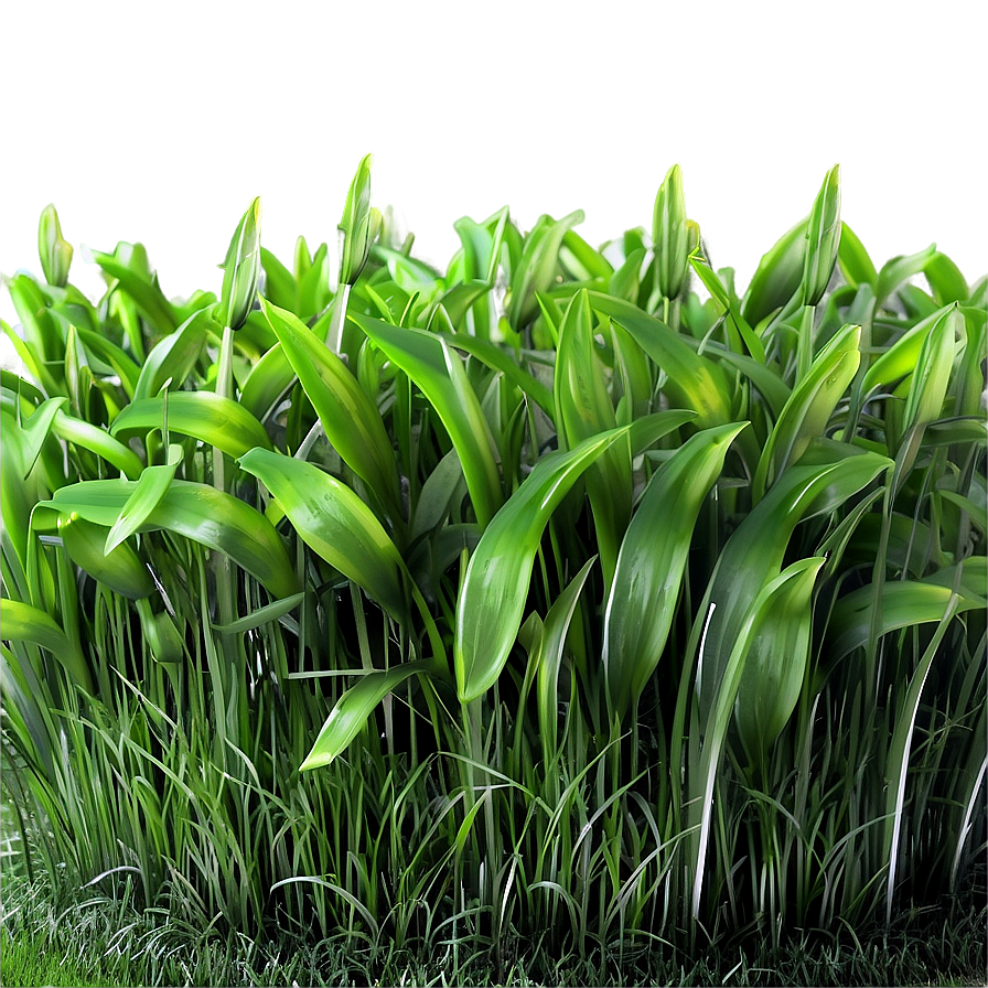 Soft Green Grass Texture Png Utv15