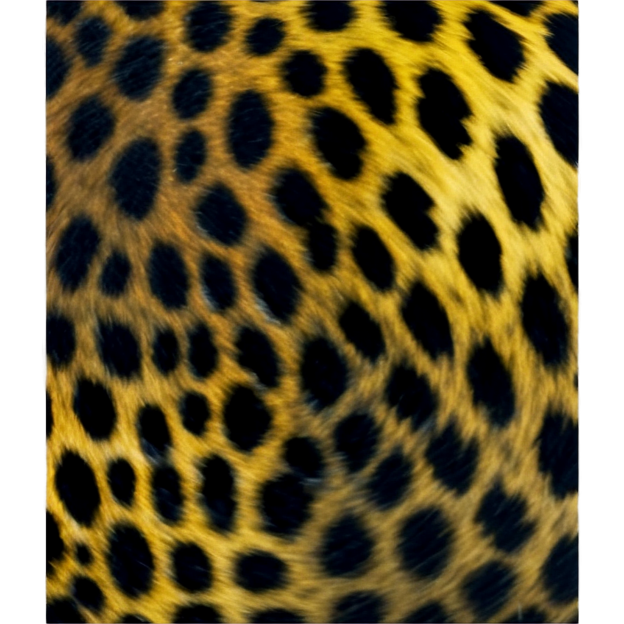 Soft Leopard Spots Png Vbo65