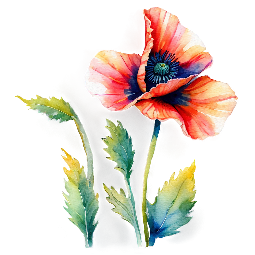 Soft Poppy Watercolor PNG siv62 PNG with transparent background