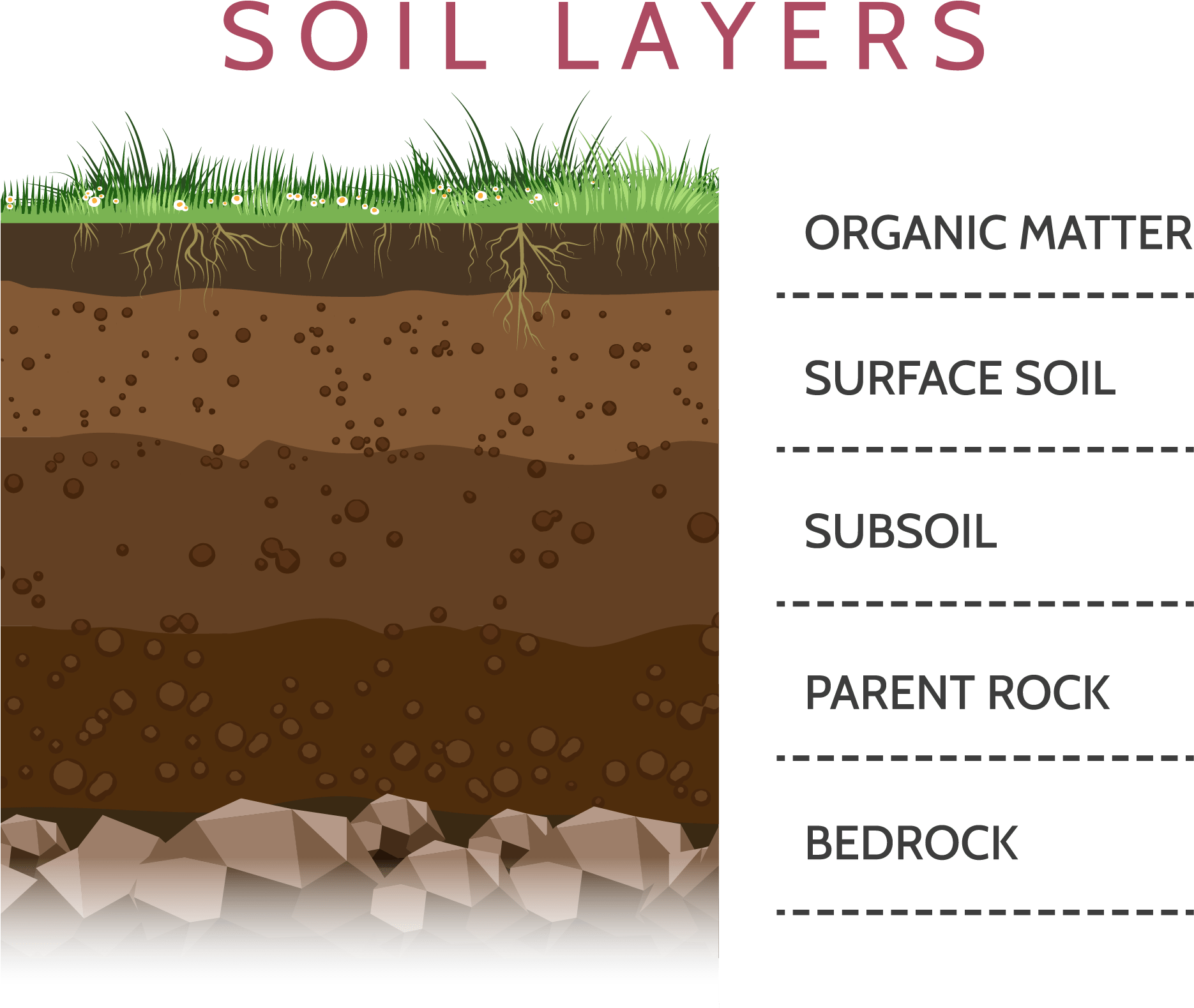 Layers Of Soil Clipart, HD Png Download PNG with transparent background