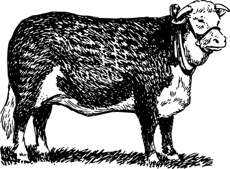 Solid Black Background PNG with transparent background