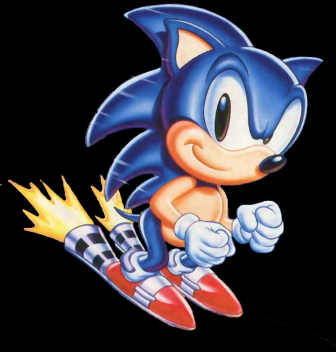 Sonic Speedy Sneakers