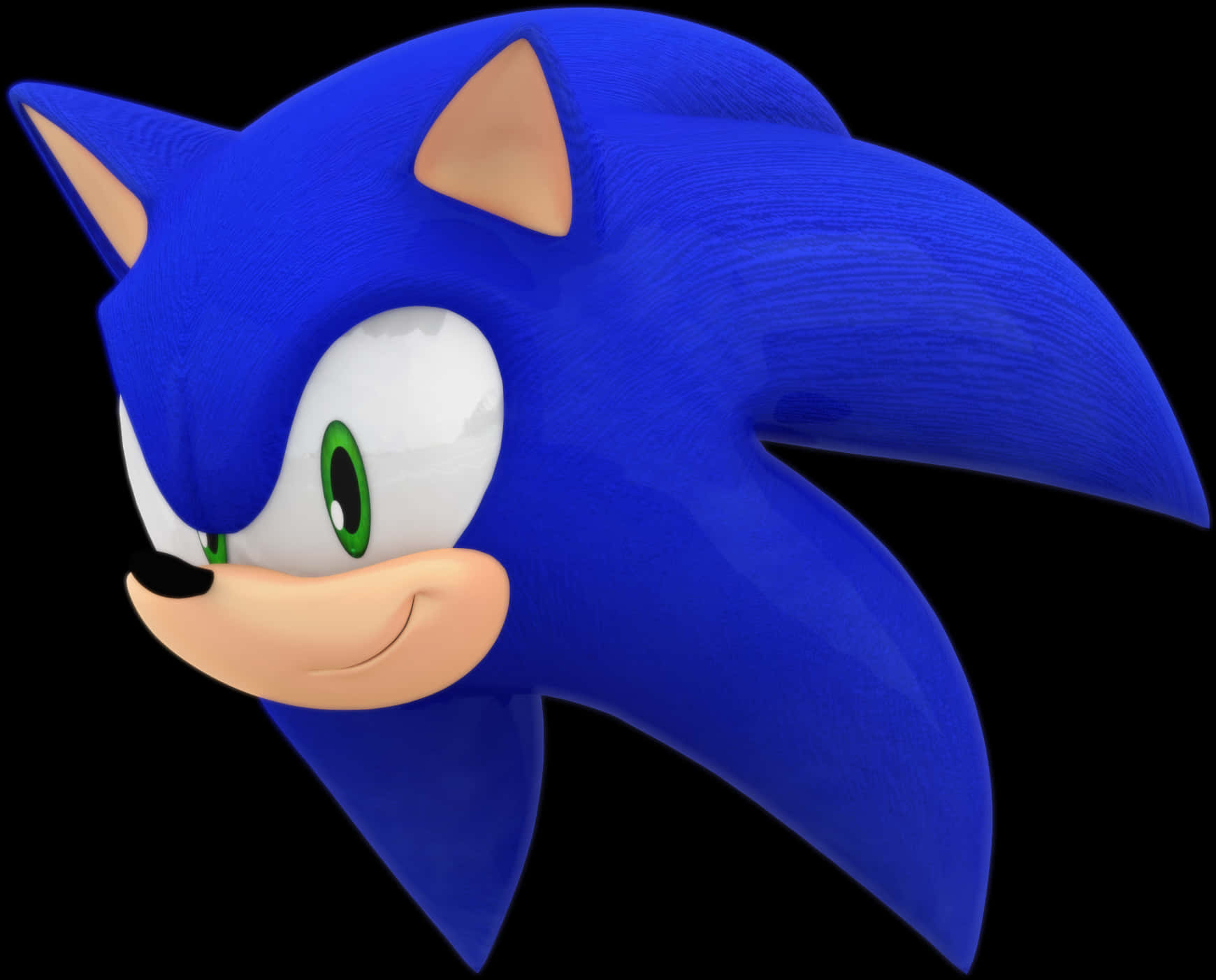 Sonic The Hedgehog Profile View