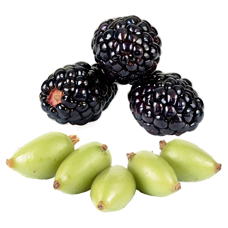 Sour Blackberry Fruit Png Utb