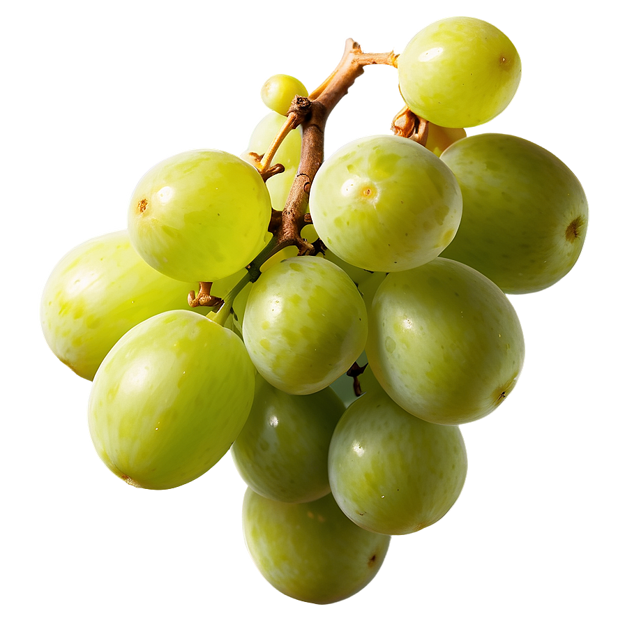 Sour Grape Cluster PNG 06252024 PNG image with a transparent background, free high-resolution download