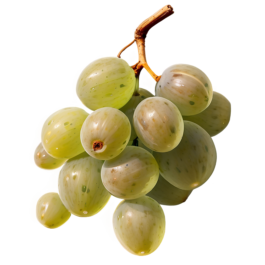 Sour Grape Cluster PNG 45 PNG image with a transparent background, free high-resolution download
