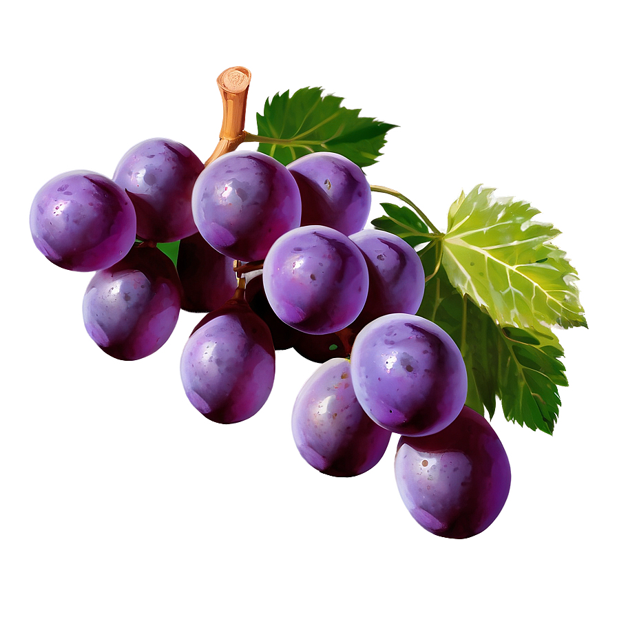 Sour Grape Cluster PNG ccr PNG image with a transparent background, free high-resolution download