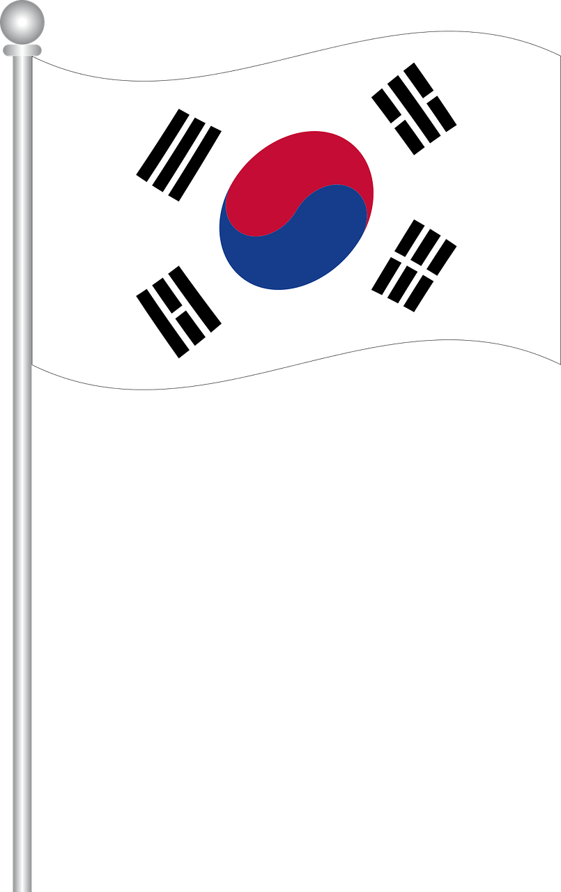 South Korean Flag Waving