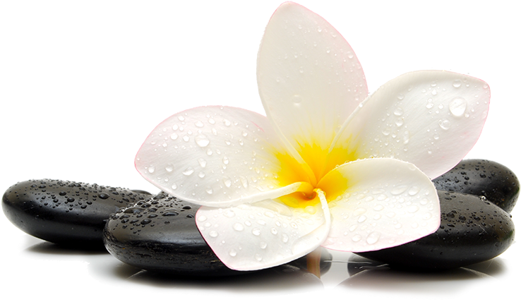 Png Massage, Transparent Png PNG with transparent background