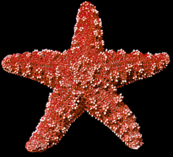 Sparkling Red Starfish