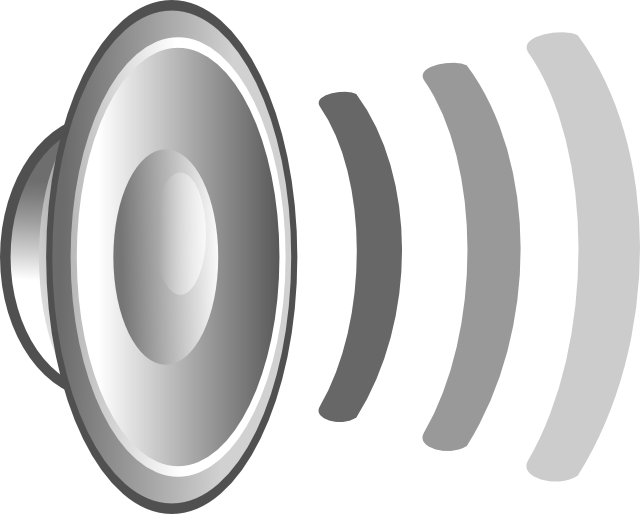 Speaker Sound Waves Icon