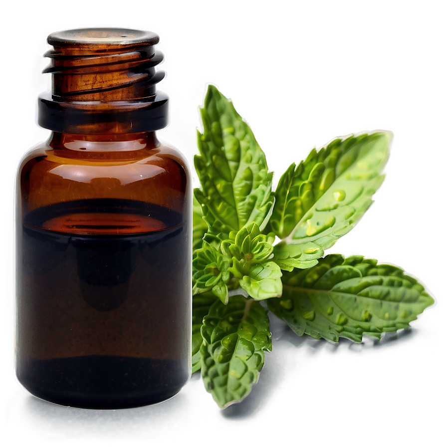 Spearmint Essential Oil Png 21