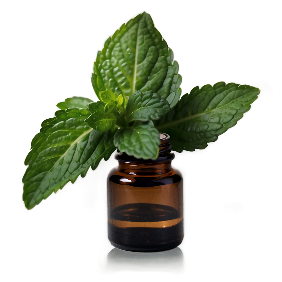 Spearmint Essential Oil Png 82