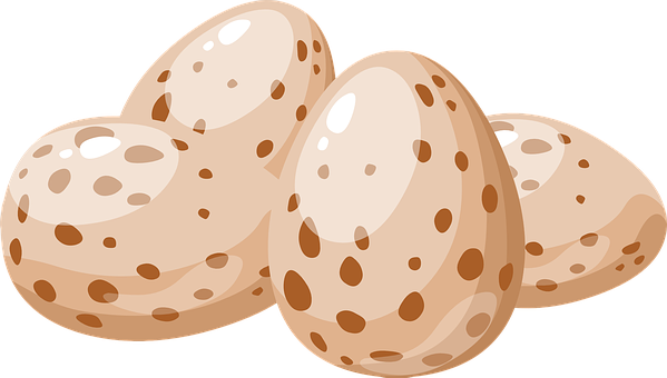 Speckled Eggs Vector Illustration PNG with transparent background