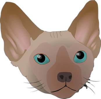 Sphynx Cat Illustration