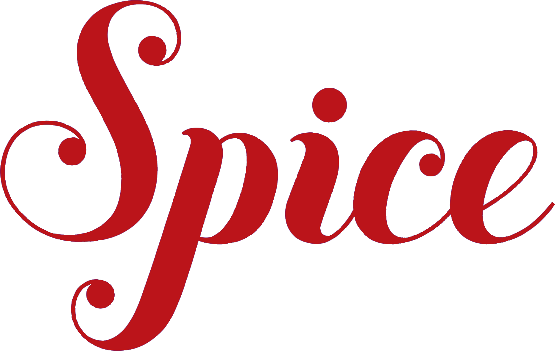 Spiceand Aroma Logo