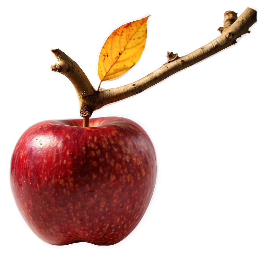 Spiced Apple Autumn Png 06262024