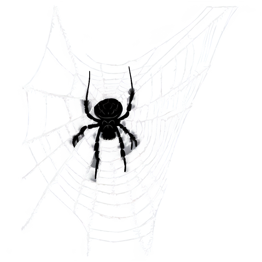 Spider And Cobweb Png 06132024