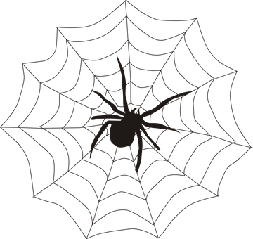 Spider Silhouetteon Web PNG with transparent background