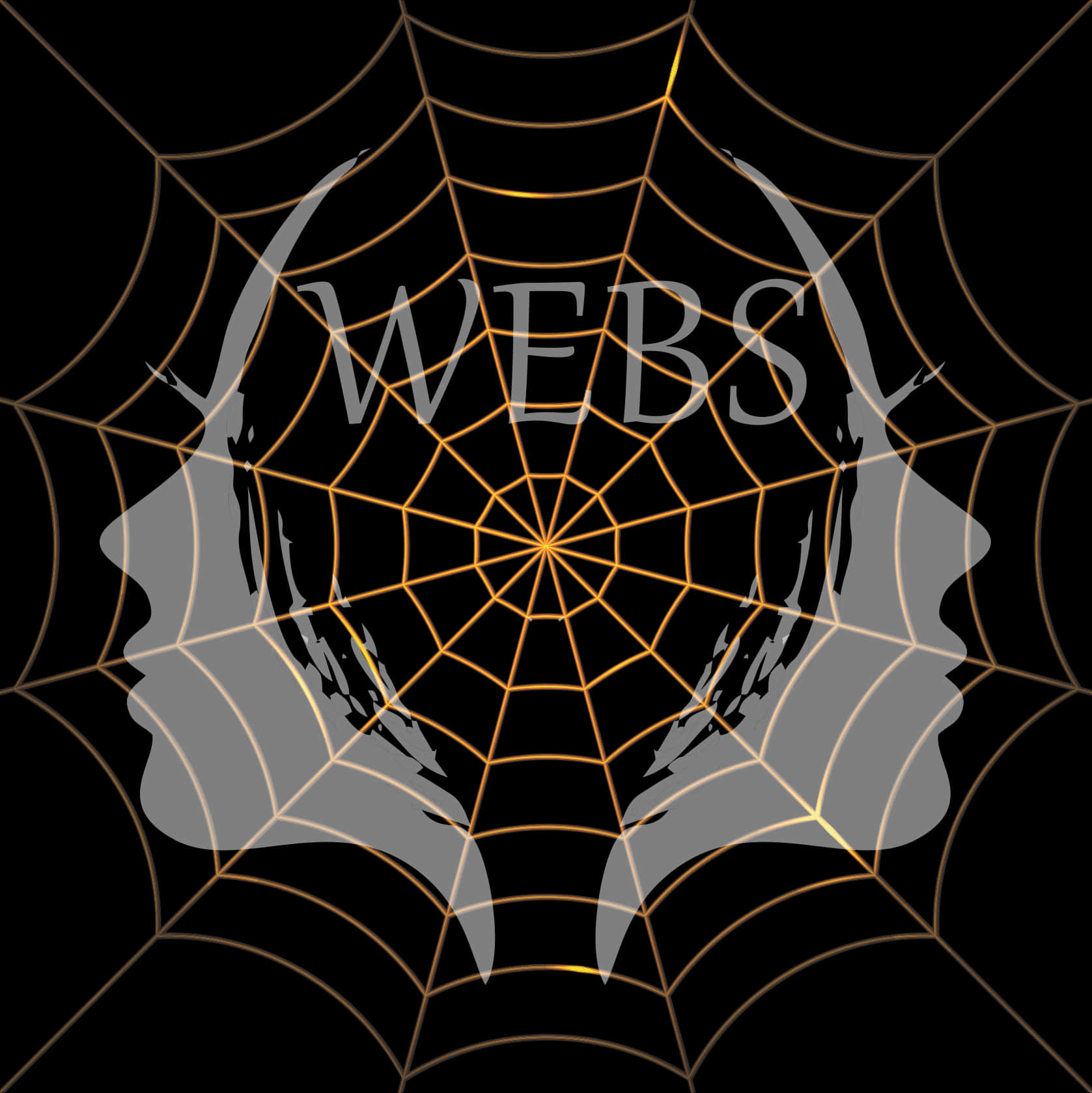 Spider Web Artistic Design PNG with transparent background