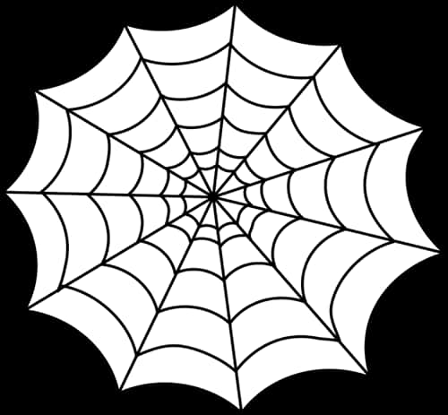 Spider Web Graphic Design