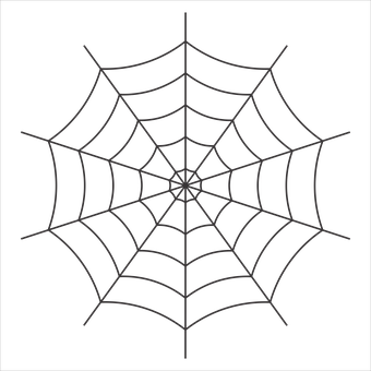 Spider Web Silhouetteon Black Background