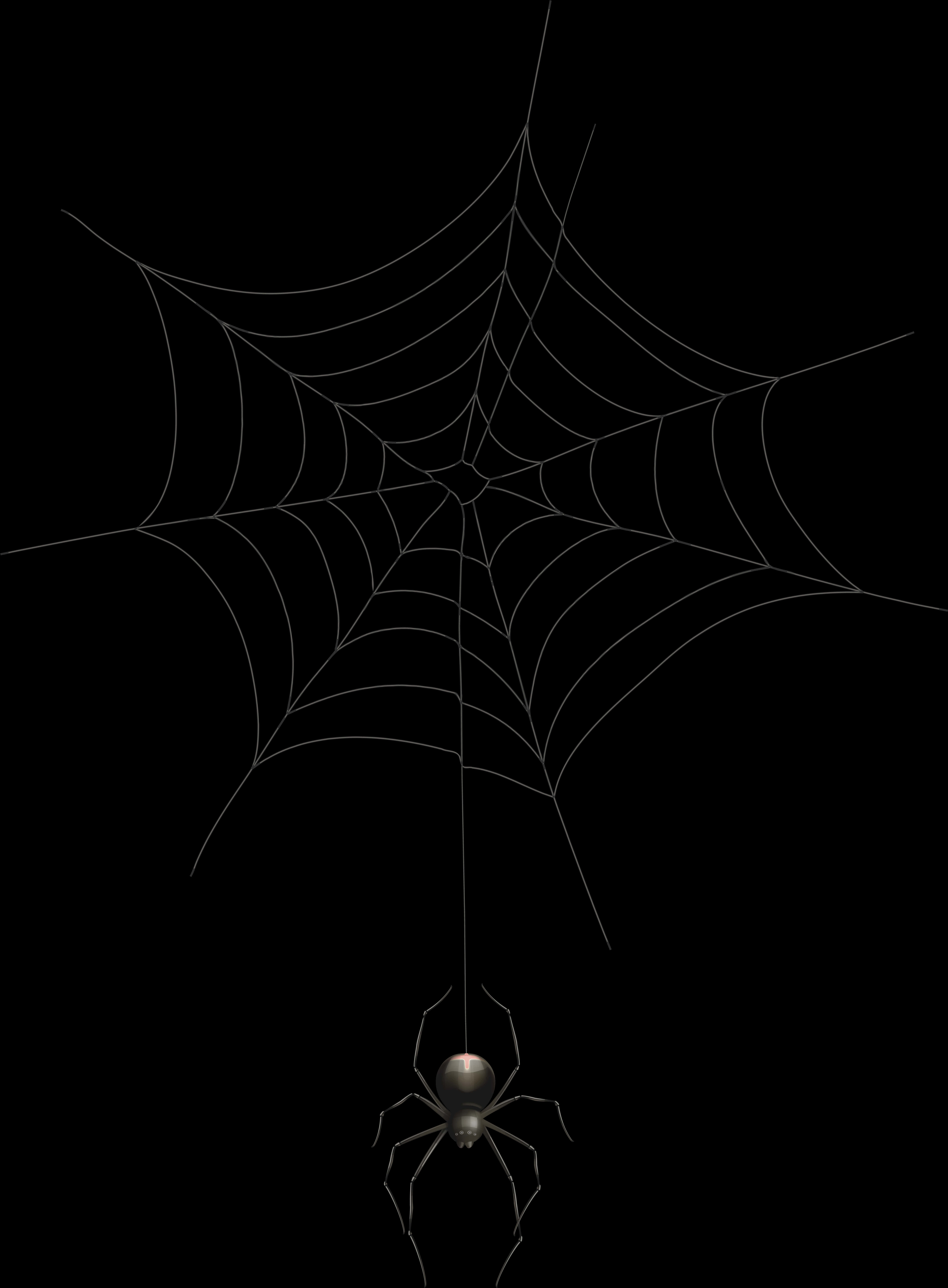 Spideron Webin Darkness PNG with transparent background