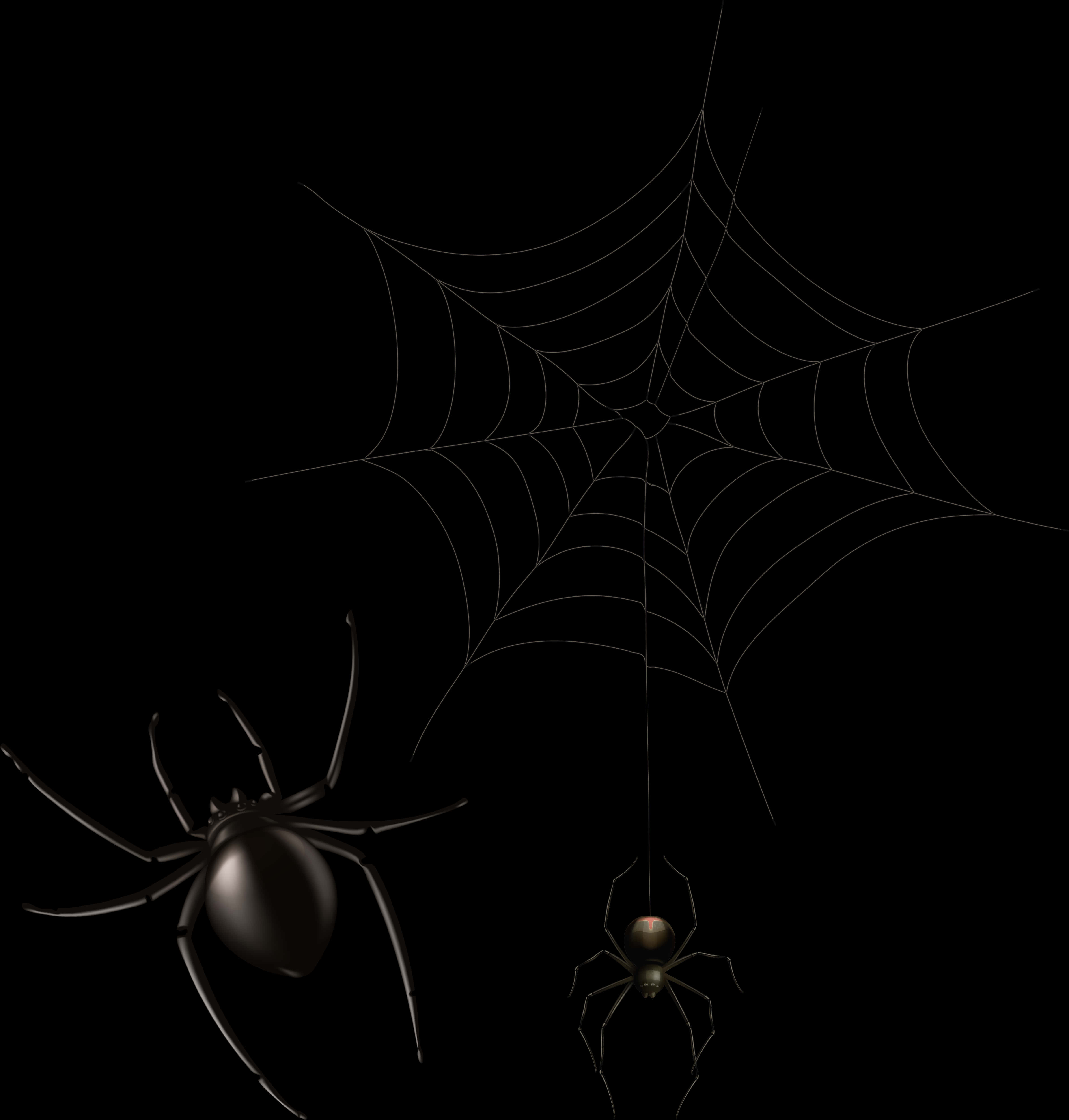 Spiders_on_ Web_in_ Darkness PNG with transparent background