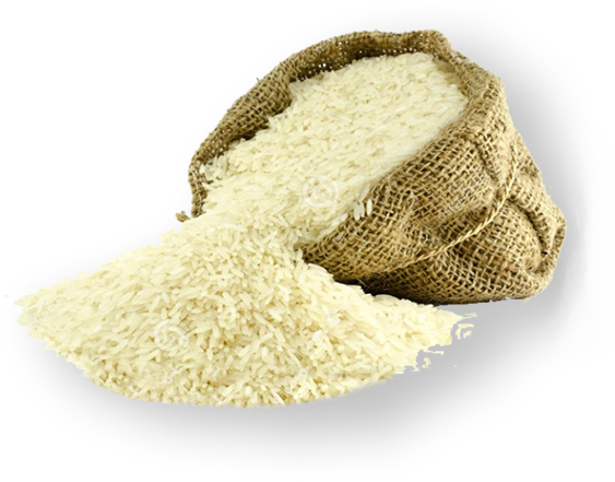 Spilled Rice Bag Image