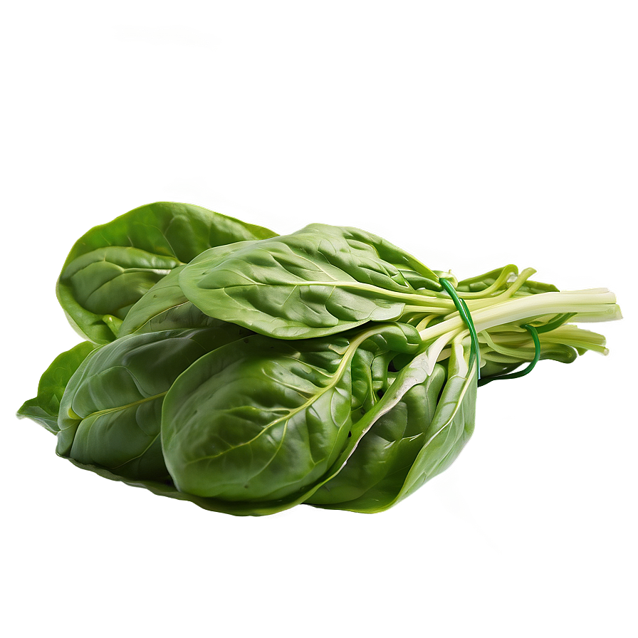 Spinach Lettuce Png 05242024