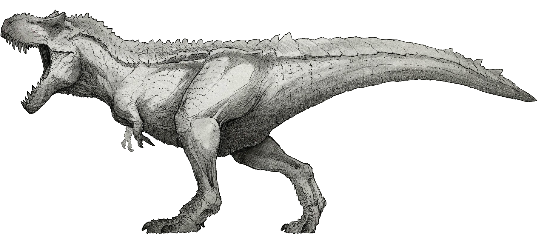 Spinosaurus Sketch Jurassic Park PNG with transparent background