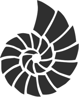 Spiral Shell Graphic Black Background PNG with transparent background