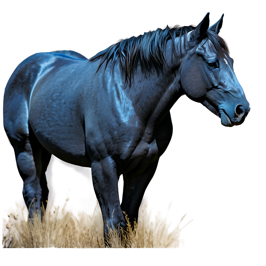 Spirit Of The Mustang Horse Png Dbw