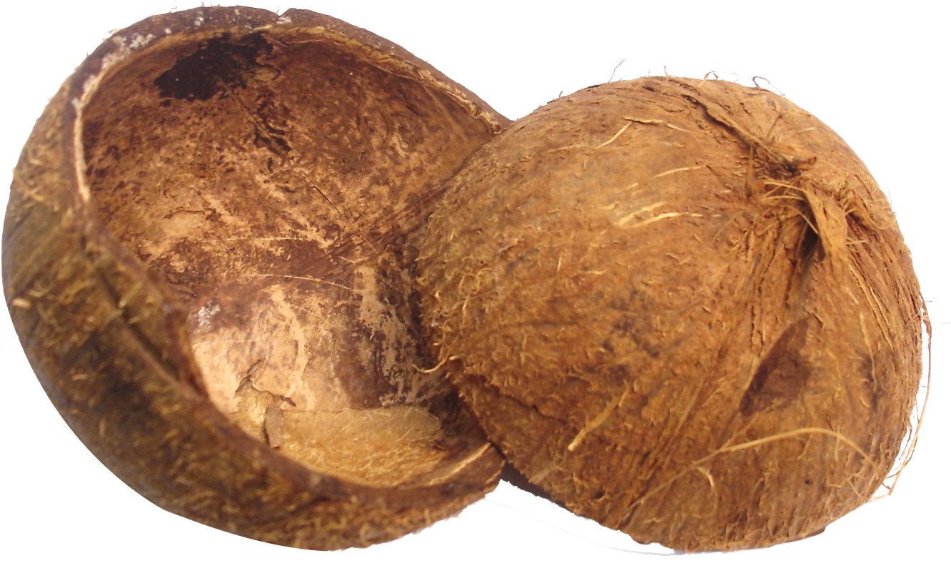 Coconut Husk Png, Transparent Png PNG with transparent background
