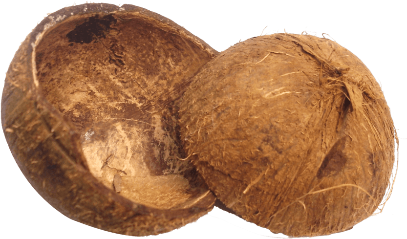 Free Png Coconut Shell Png Images Transparent - Coconut Husk Png, Png Download PNG with transparent background