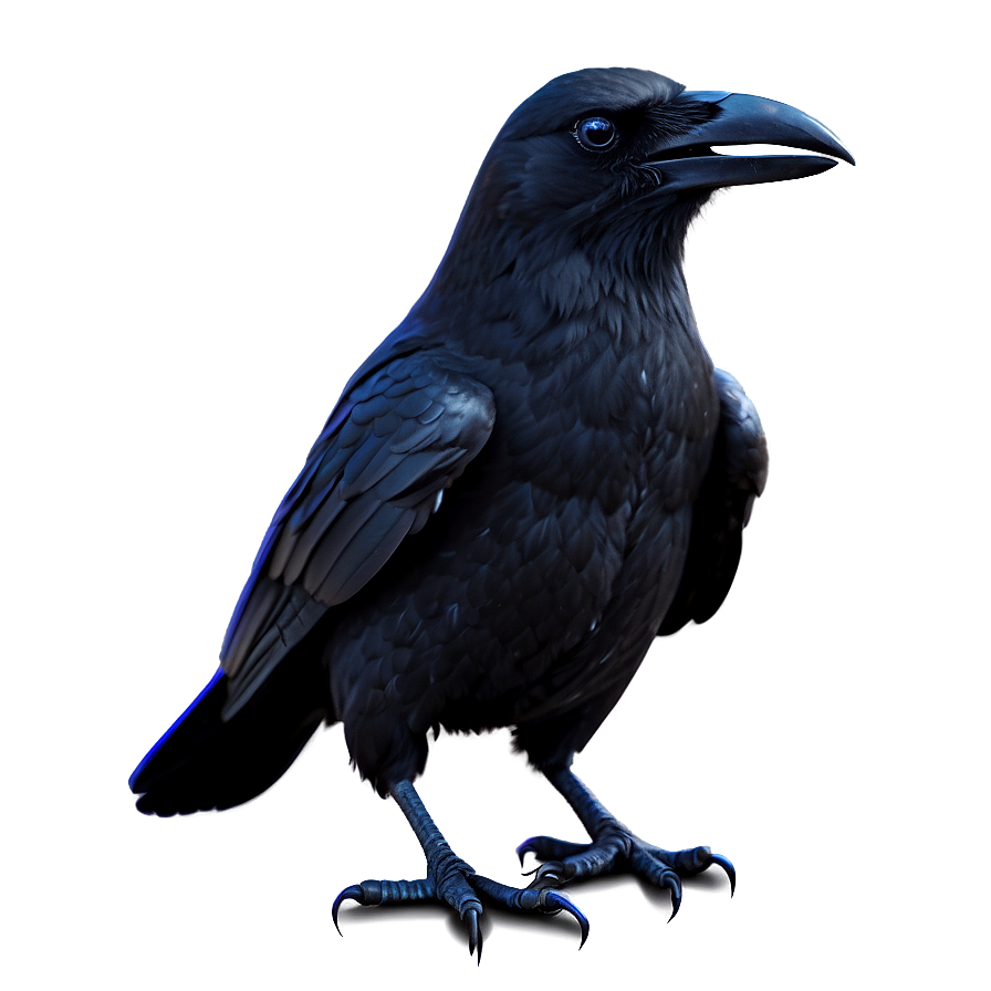 Spooky Crow Png 36