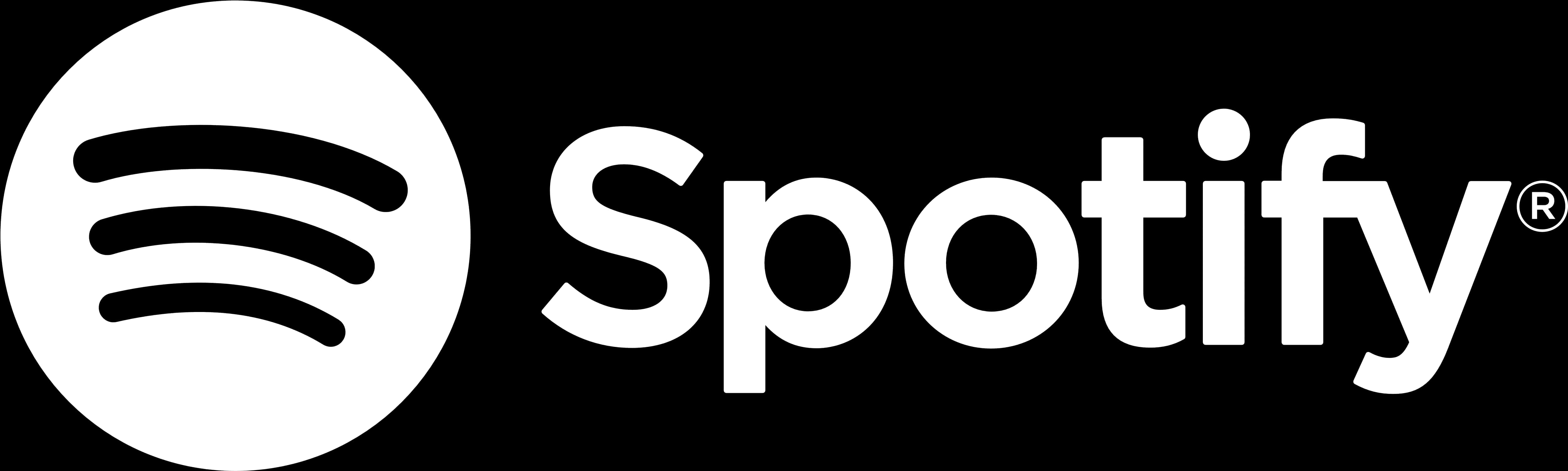 Spotify Logo Blackand White