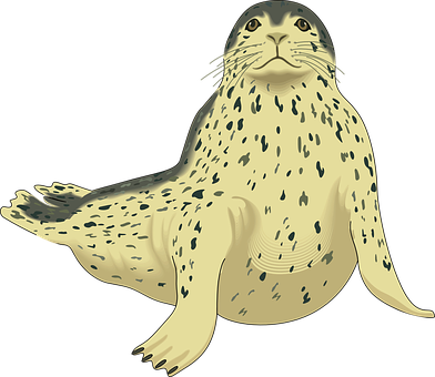 Spotted Seal Illustration PNG with transparent background
