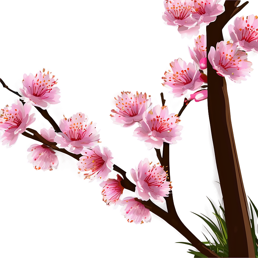 Spring Cherry Blossom Scene PNG kuc PNG with transparent background
