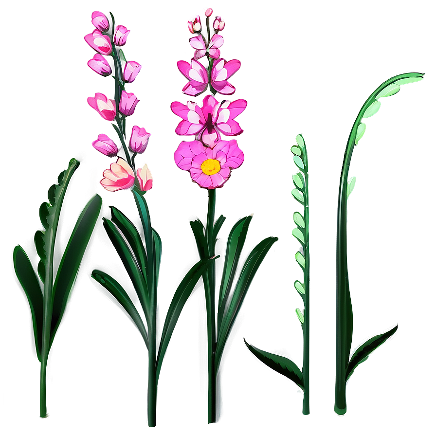 Spring Flower Stem Png 06132024