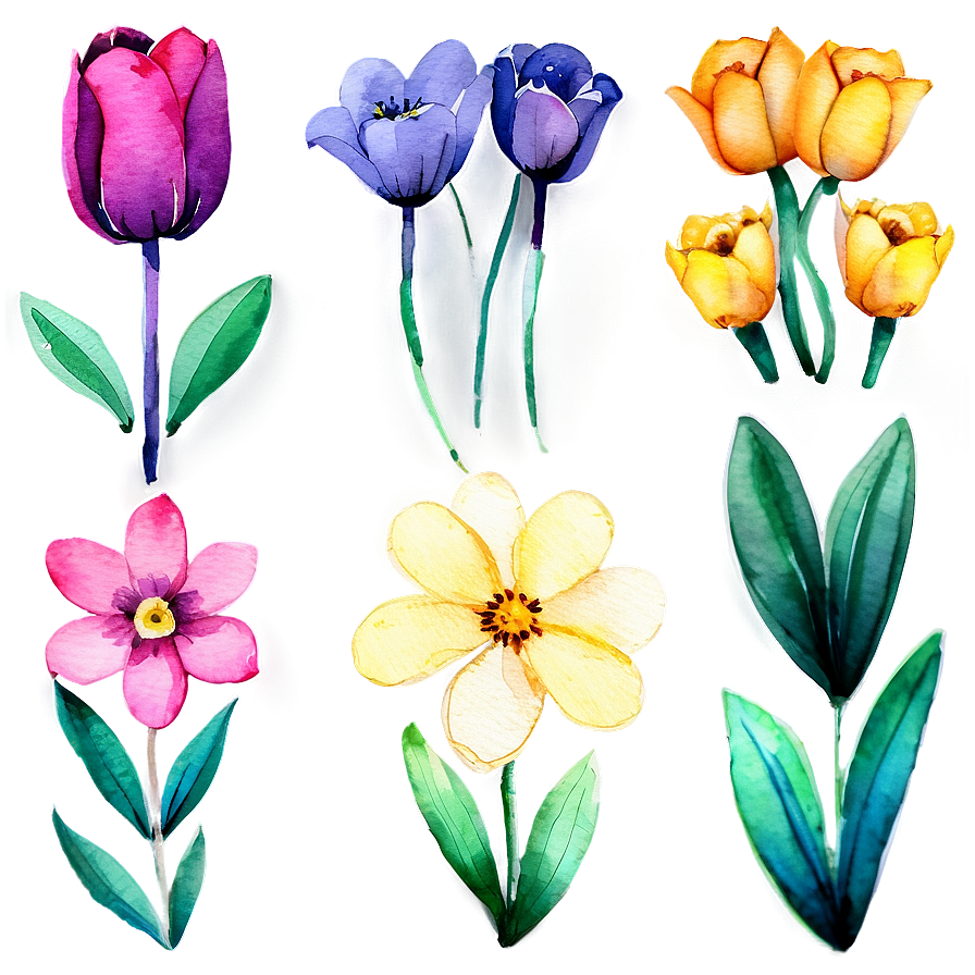 Spring Flowers Watercolor Png Sjl