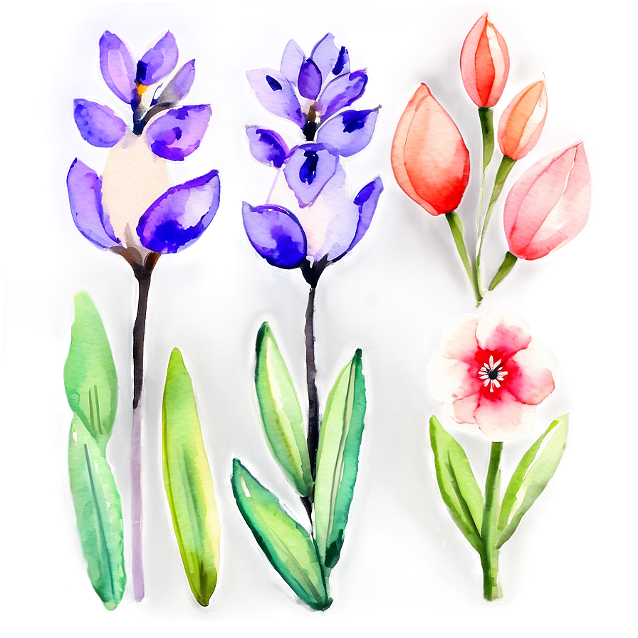 Spring Flowers Watercolor Set PNG 32 PNG with transparent background