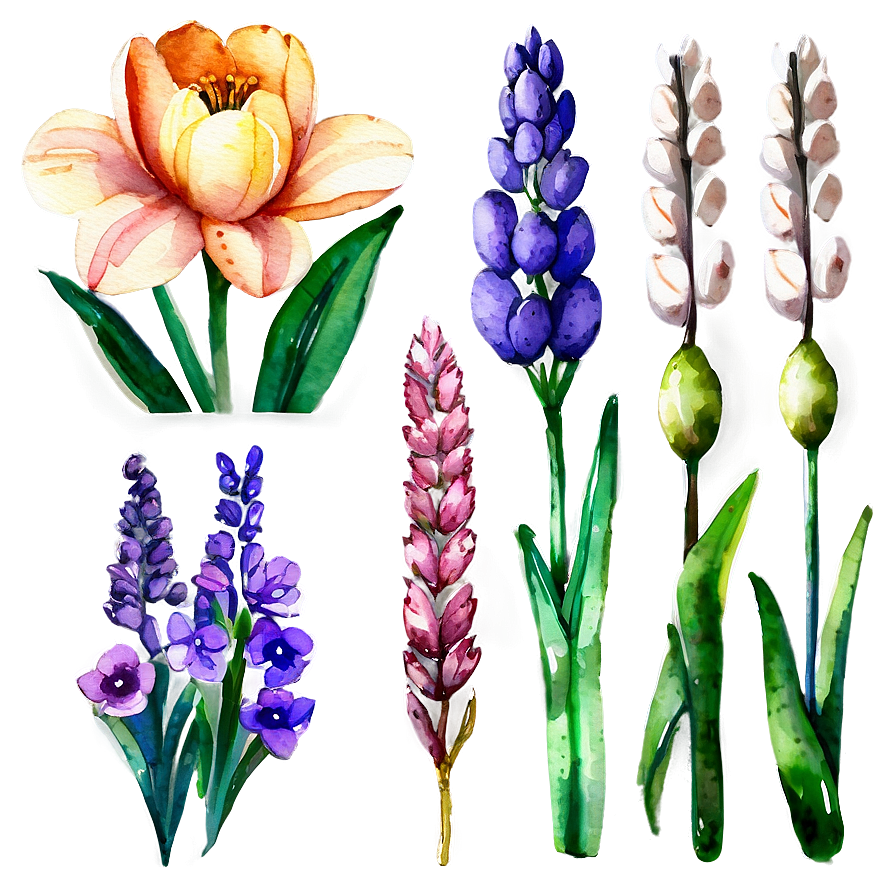 Spring Flowers Watercolor Set PNG fgn72 PNG with transparent background