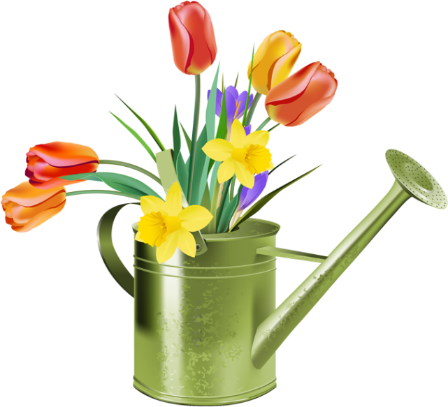 Spring Flowersin Watering Can