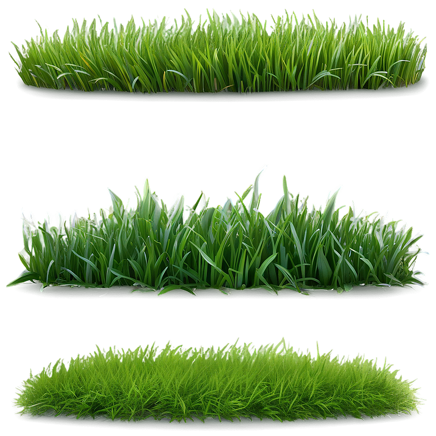 Spring Green Grass Png 06262024