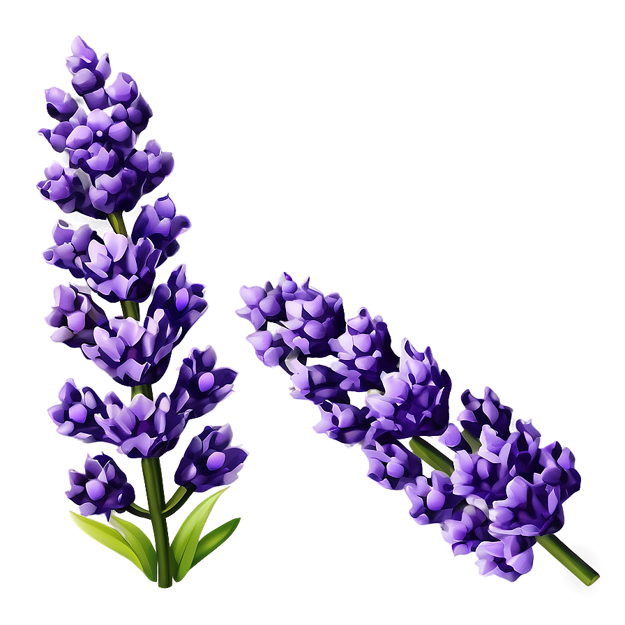 Spring Lavender Flower Png 06272024